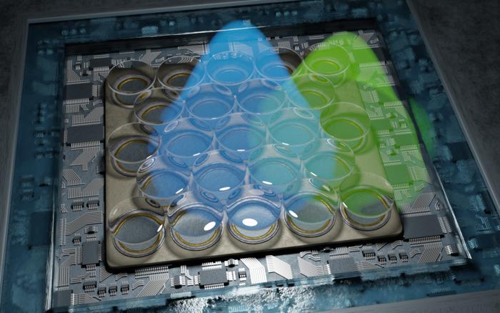 Image credit Alexey Chizhik, Göttingen University Representation of the highly sensitive detector that is part of the newly developed fluorescence microscope. It consists of 23 individual detectors, enabling the resolution to be doubled.