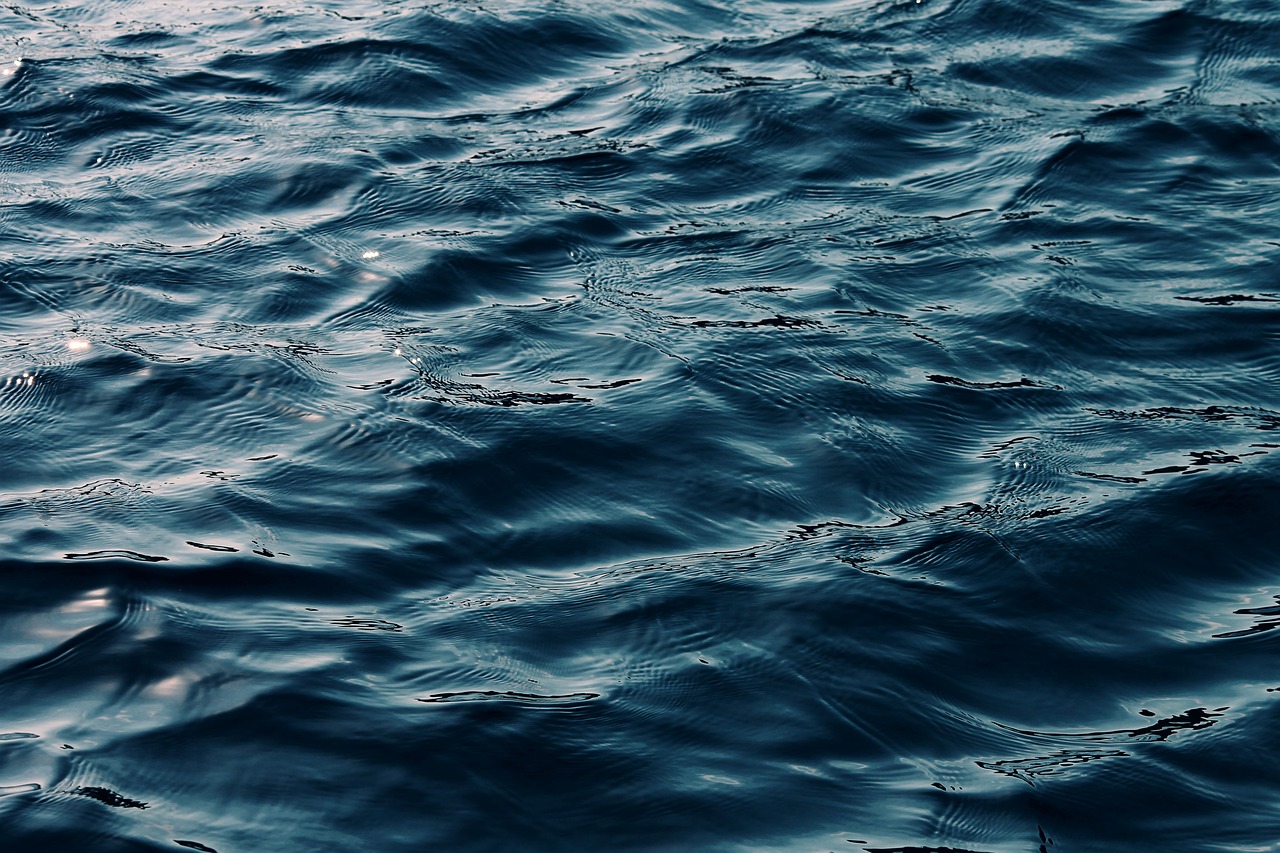 Image by Manfred Richter from Pixabay