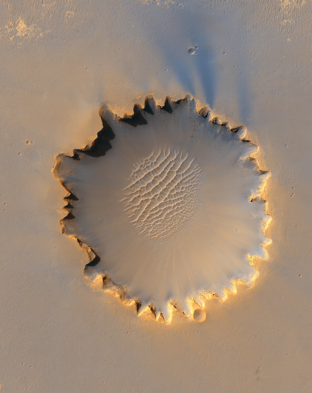 Image by WikiImages from Pixabay