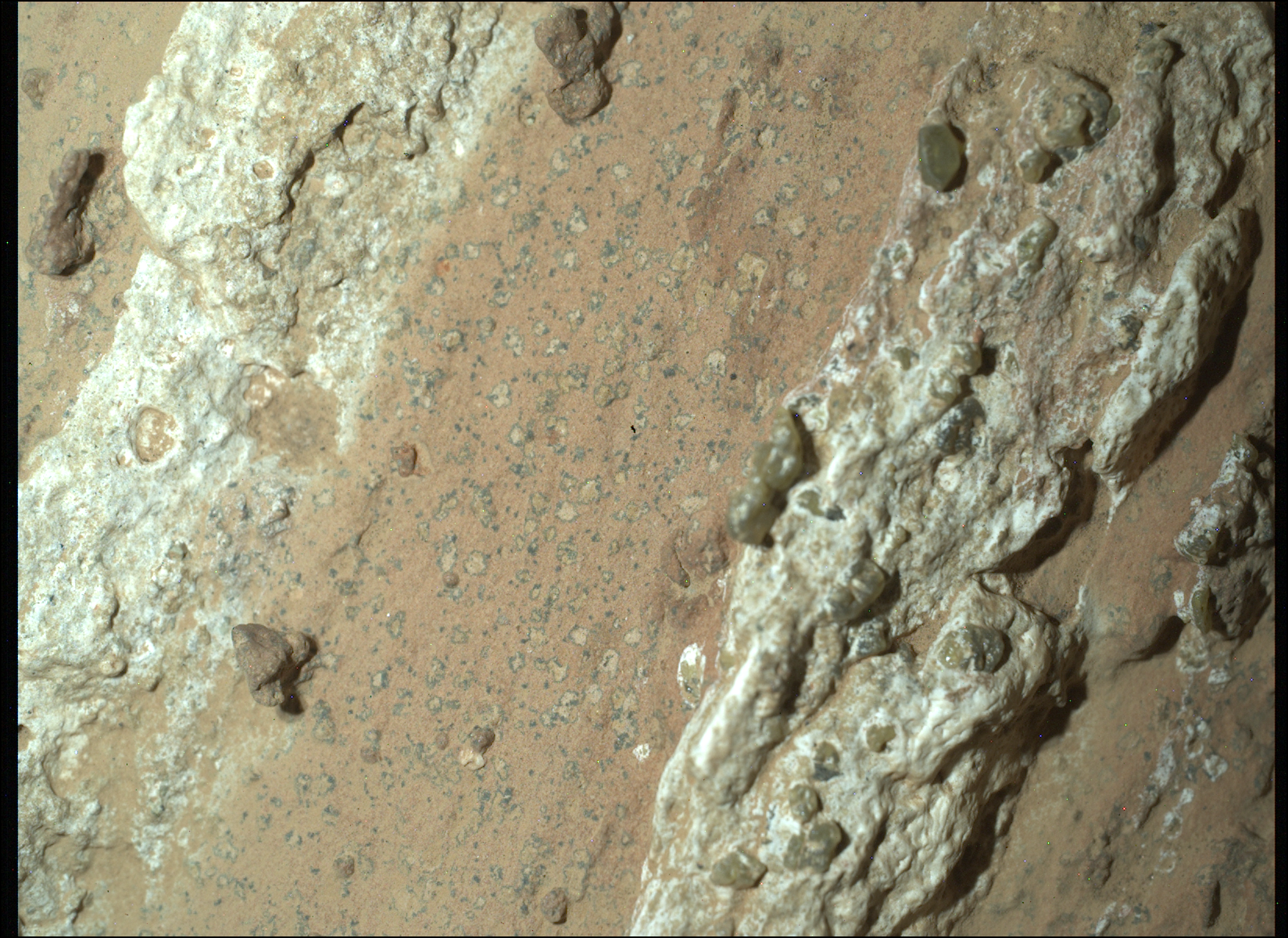 NASA/JPL-Caltech/MSSS, https://www.jpl.nasa.gov/images/pia26368-perseverance-finds-a-rock-with-leopard-spots/