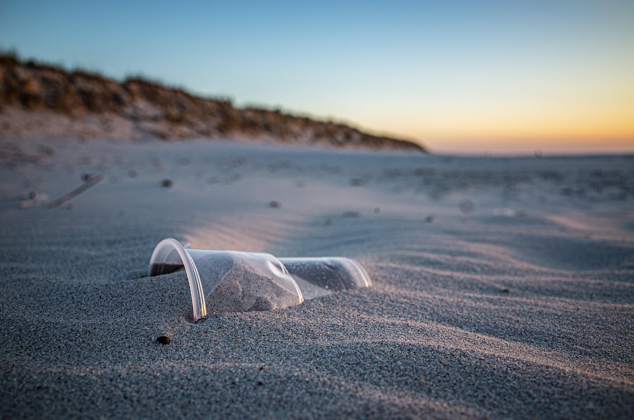 Image by Hamsterfreund from Pixabay