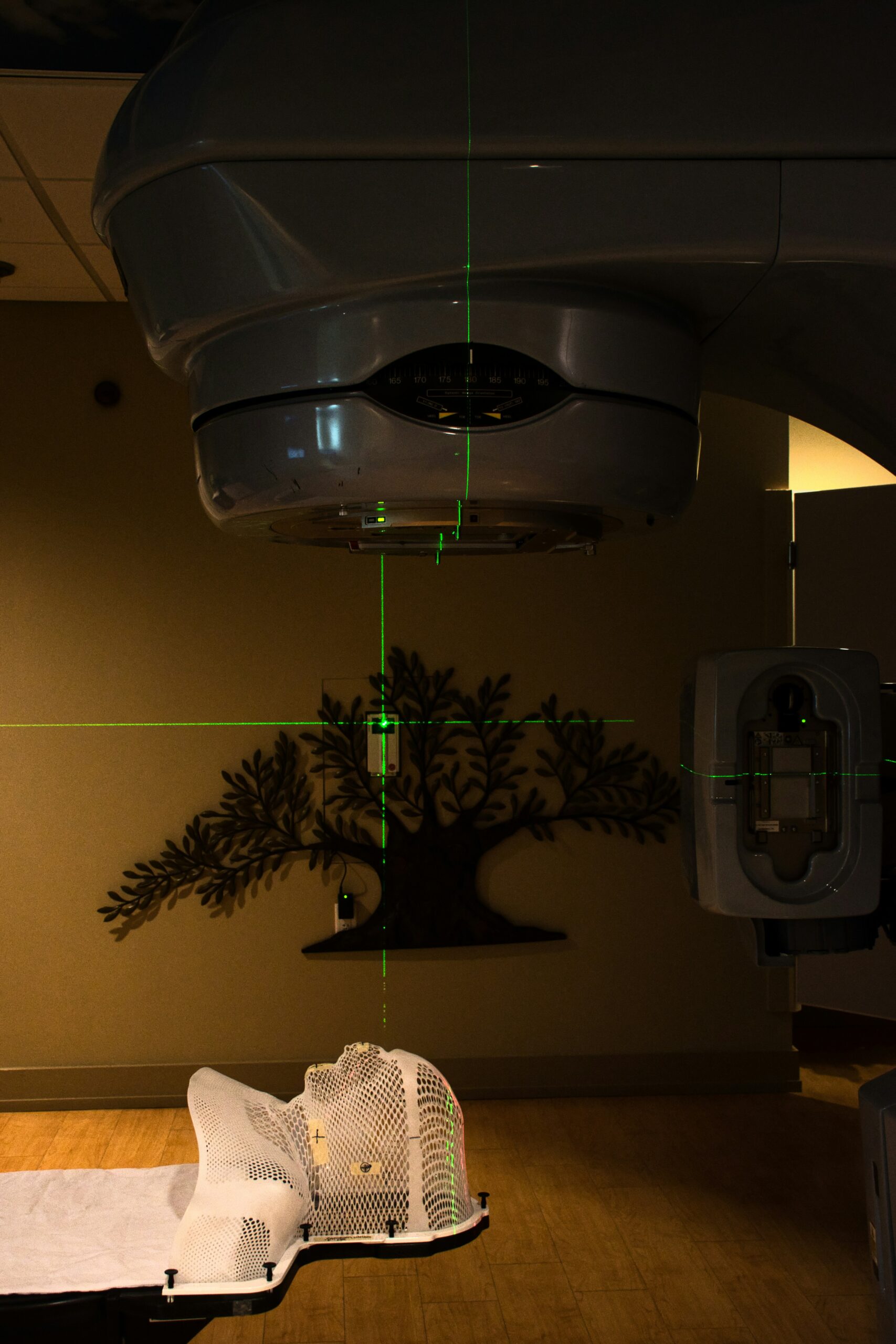 Photo by Craig Cameron on Unsplash